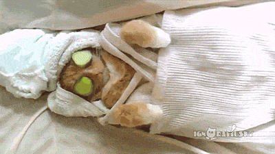 relaxed spa GIF