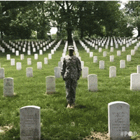 Memorial Day Usa GIF by GoPop