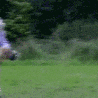 fail old lady GIF