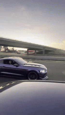 50 GIF