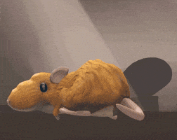 Celebration Cheese GIF by Pieces Games