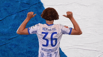 Bundesliga Berlin GIF by Hertha BSC
