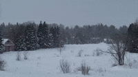 Snowflakes Create 'Snow Globe' Effect in Eastern Maine