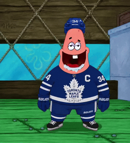 Toronto Maple Leafs GIF