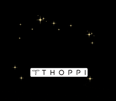 GIF by Thoppi