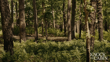 Horror Photography GIF by Knock At The Cabin