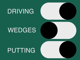 Yippygolf GIF by Citywide Golf