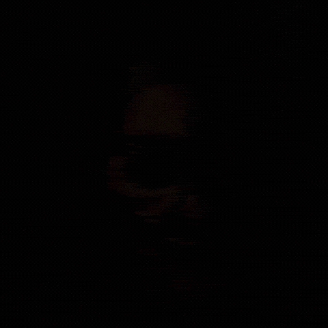 Monster Demon GIF