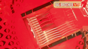 Big Brother Celebrity GIF by Big Brother Australia