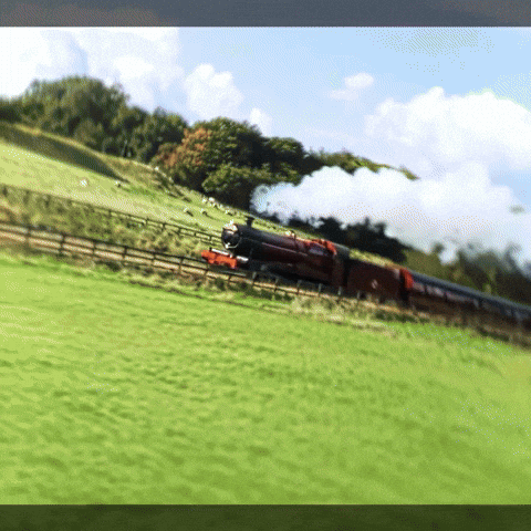 Harry Potter Hbo GIF