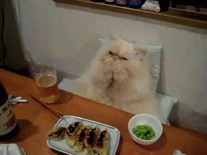 giphy.gif?cid=790b7611e201e363fd1dd20f2ce4db164e4ba364e3247644&rid=giphy.gif&ct=g