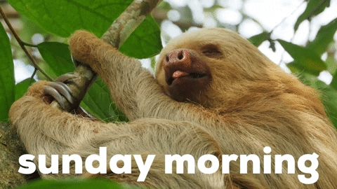 Sundayfeeling GIFs - Get the best GIF on GIPHY