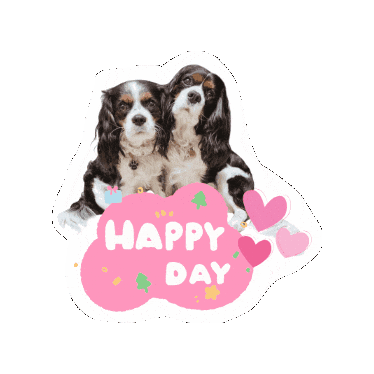 Birthday Cavalierkingcharlesspaniel Sticker