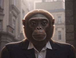 Fr GIF
