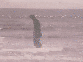 200.gif?cid=fc005b08309f8d5e472762ddc04fd58ab1b0de280ebd348c&rid=200.gif&ct=g
