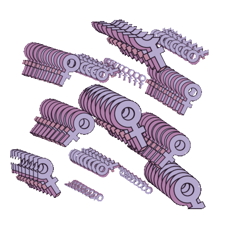 Womens Rights Woman Sticker by WomenNC