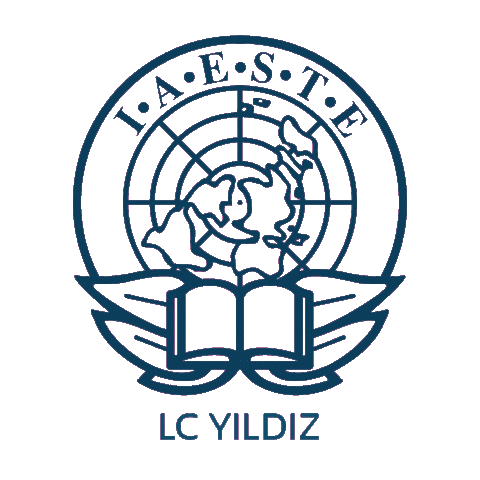 Turkey Istanbul Sticker by IAESTE L.C. YILDIZ