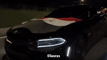 Celebrating Middle East GIF