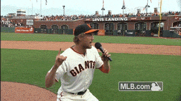 San Francisco Giants Baseball GIF by MLB