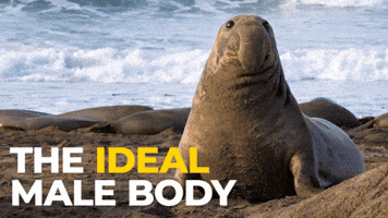 Peak Tuff GIF