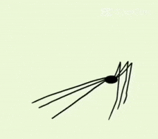 Spider GIF