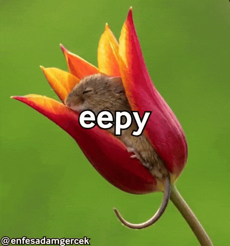 Sleepy Flower GIF