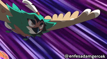 Pokemon Flying GIF
