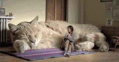 Couch 126: Get your kicks...