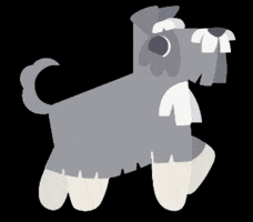 Dog Nico GIF by MeuNominho