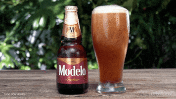 Beer Negra Modelo GIF by Cerveza Modelo MX