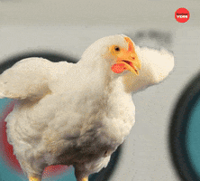 Popcorn Chicken GIF by BuzzFeed