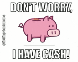 lieblingsbankmemes money pig cash geld GIF