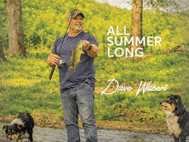 All Summer Long Fishing GIF by Dave Wilbert