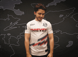 Ethan No GIF by 100 Thieves