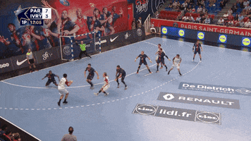 thierry omeyer rage GIF by Paris Saint-Germain Handball