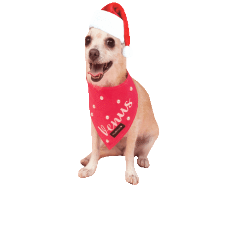 Christmas Sticker