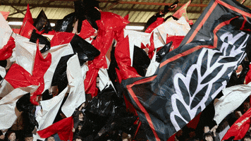Fans Flags GIF by Dunfermline Athletic Football Club