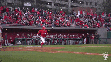 nc state vasquez GIF by NC State Athletics