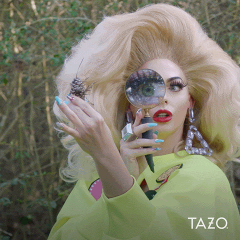 Drag Race Wtf GIF by Tazo Tea - Find & Share on GIPHY