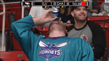 GIF by Charlotte Checkers