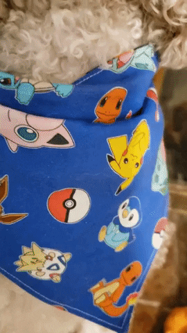 Pokemon Catch Em All GIF by Geekster Pets