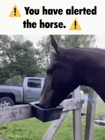 Horse Meme GIF