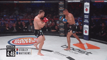 Wrestle mixed martial arts GIF by Bellator