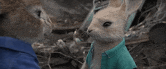 Sony Love GIF by Peter Rabbit Movie