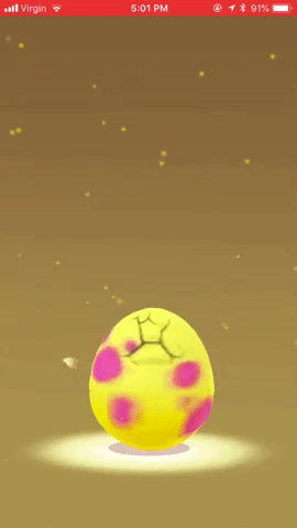 Egg Pokã©Mon GIF