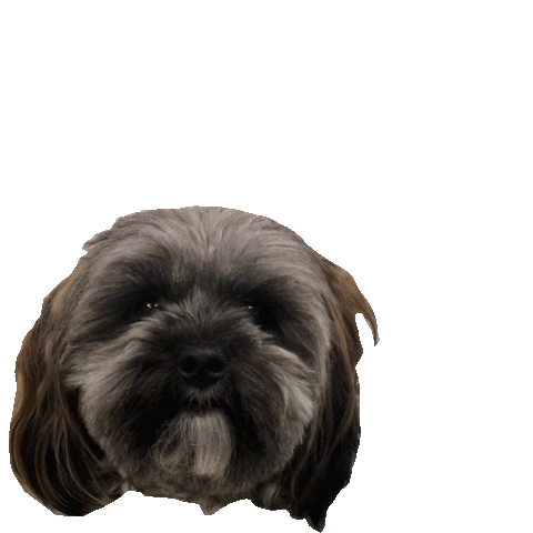 Group O'Dell Sticker