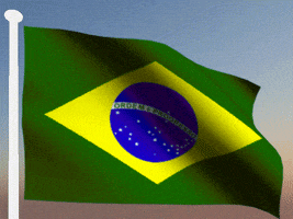 brazil GIF
