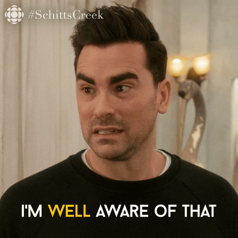 Schitt's Creek gif. Dan Levy as David cringes and turns his head as he says, "I'm well aware of that."