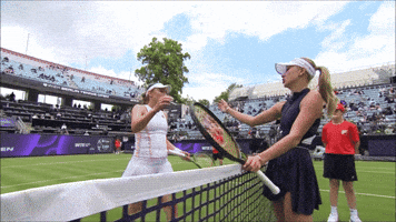 Potapova GIF