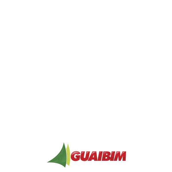 Bahia Varejo Sticker by Lojas Guaibim